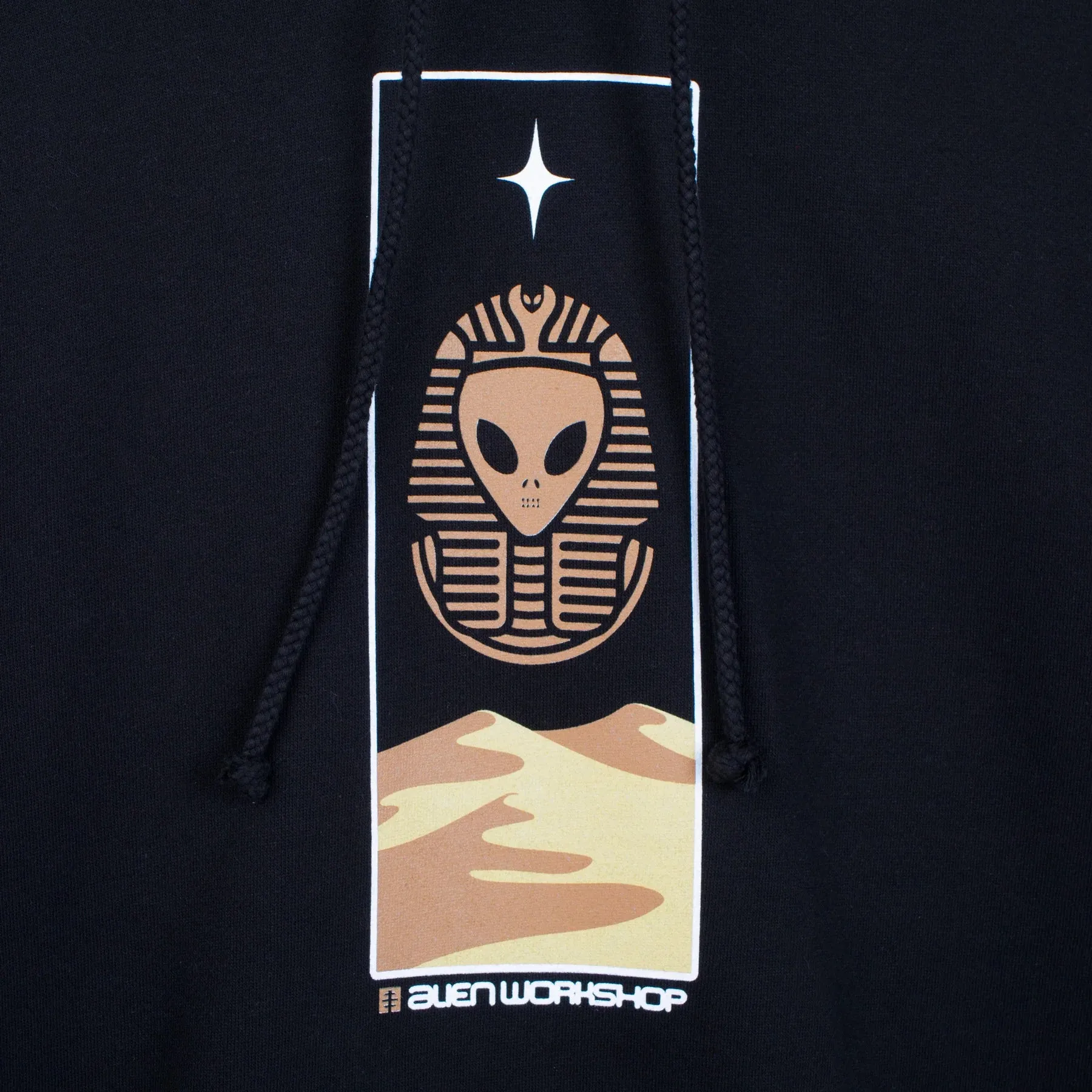 ALIEN WORKSHOP Theurgy Hoodie Black