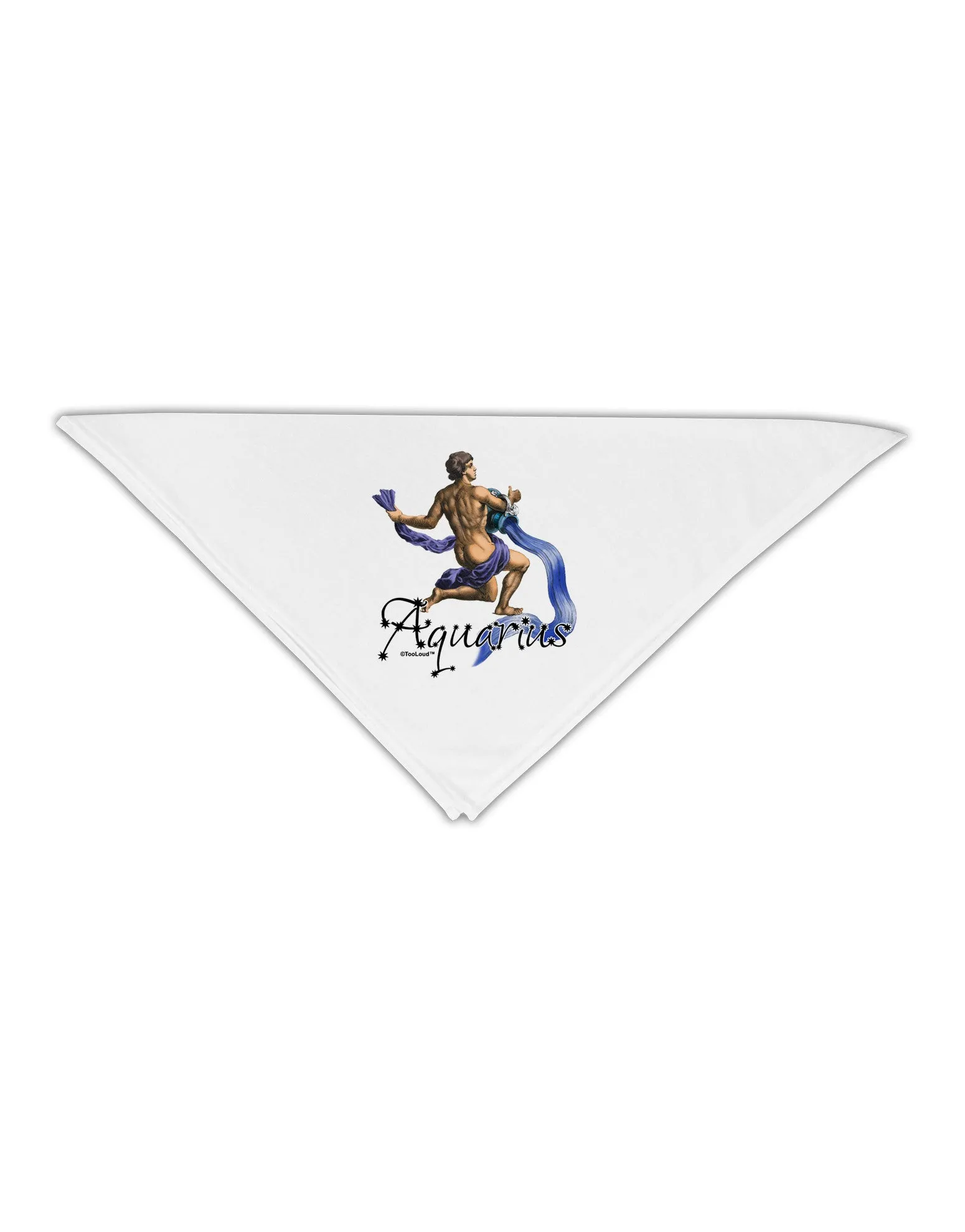Aquarius Color Illustration Adult 19&#x22; Square Bandana