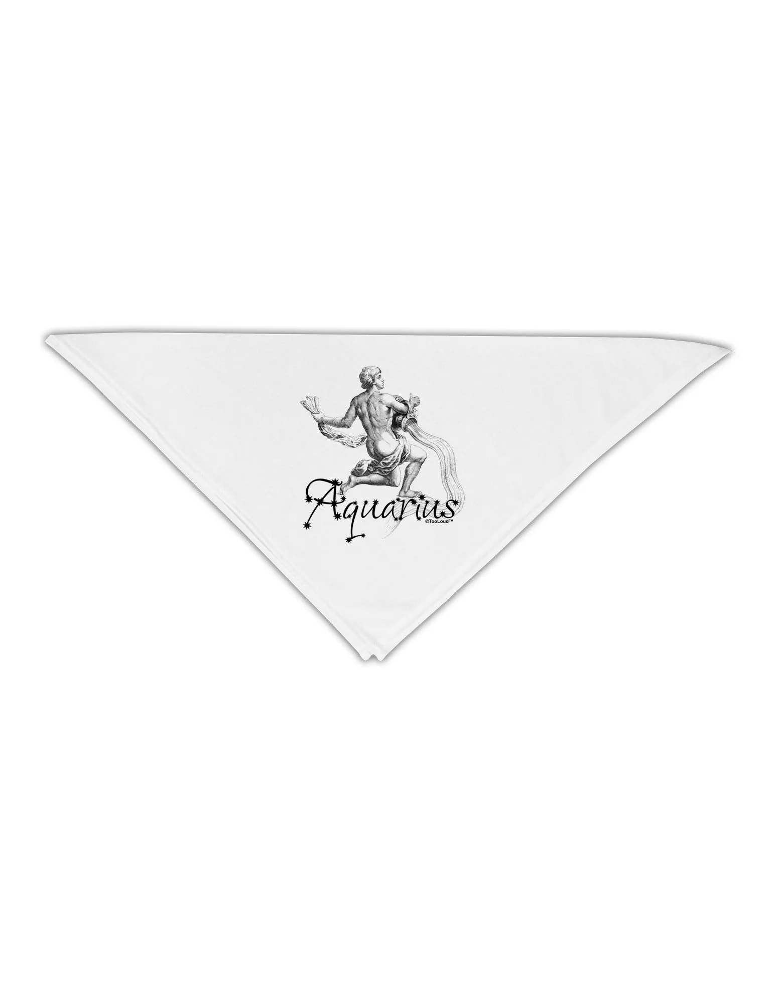 Aquarius Illustration Adult 19&#x22; Square Bandana