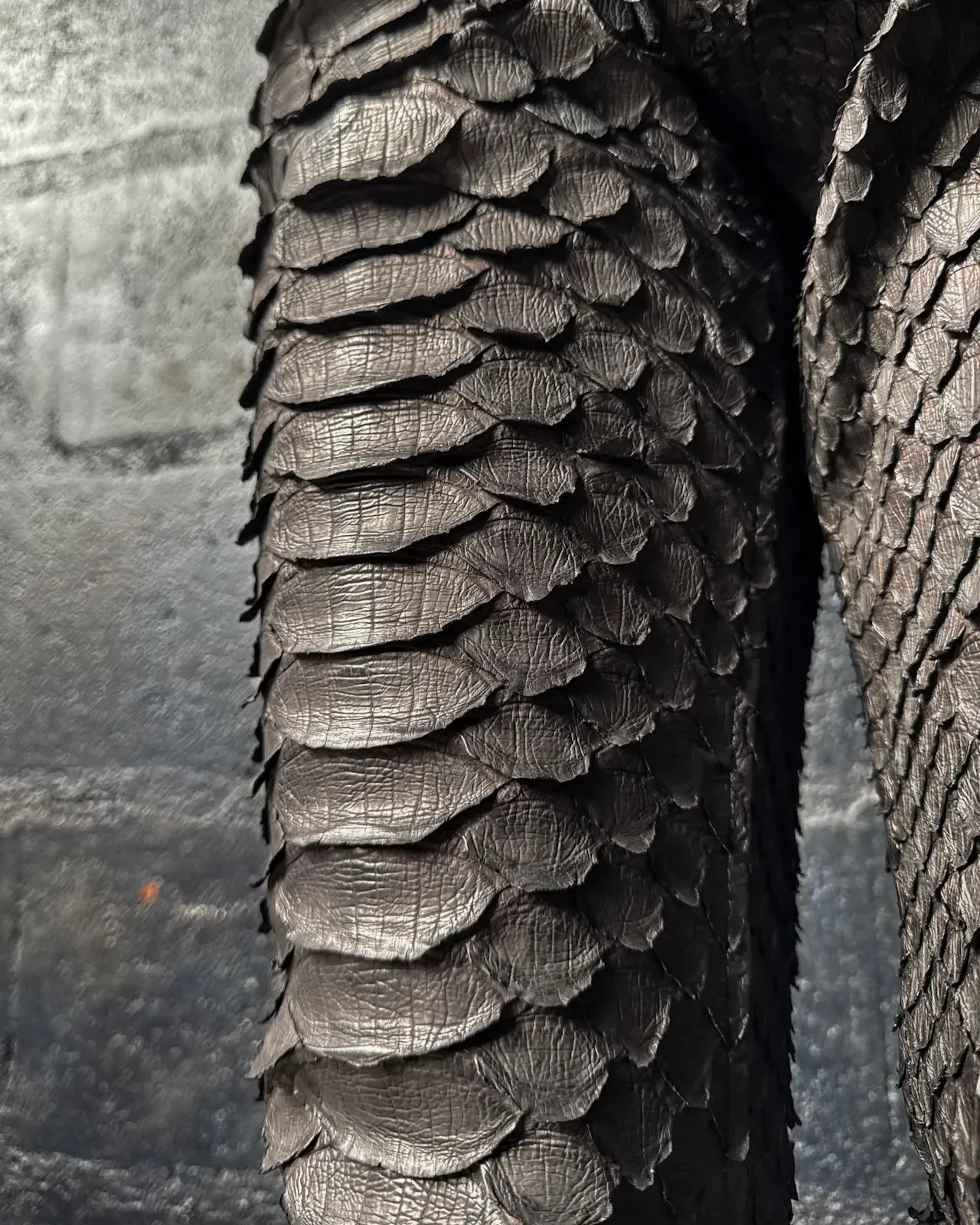 DRAGON PYTHON PANTS