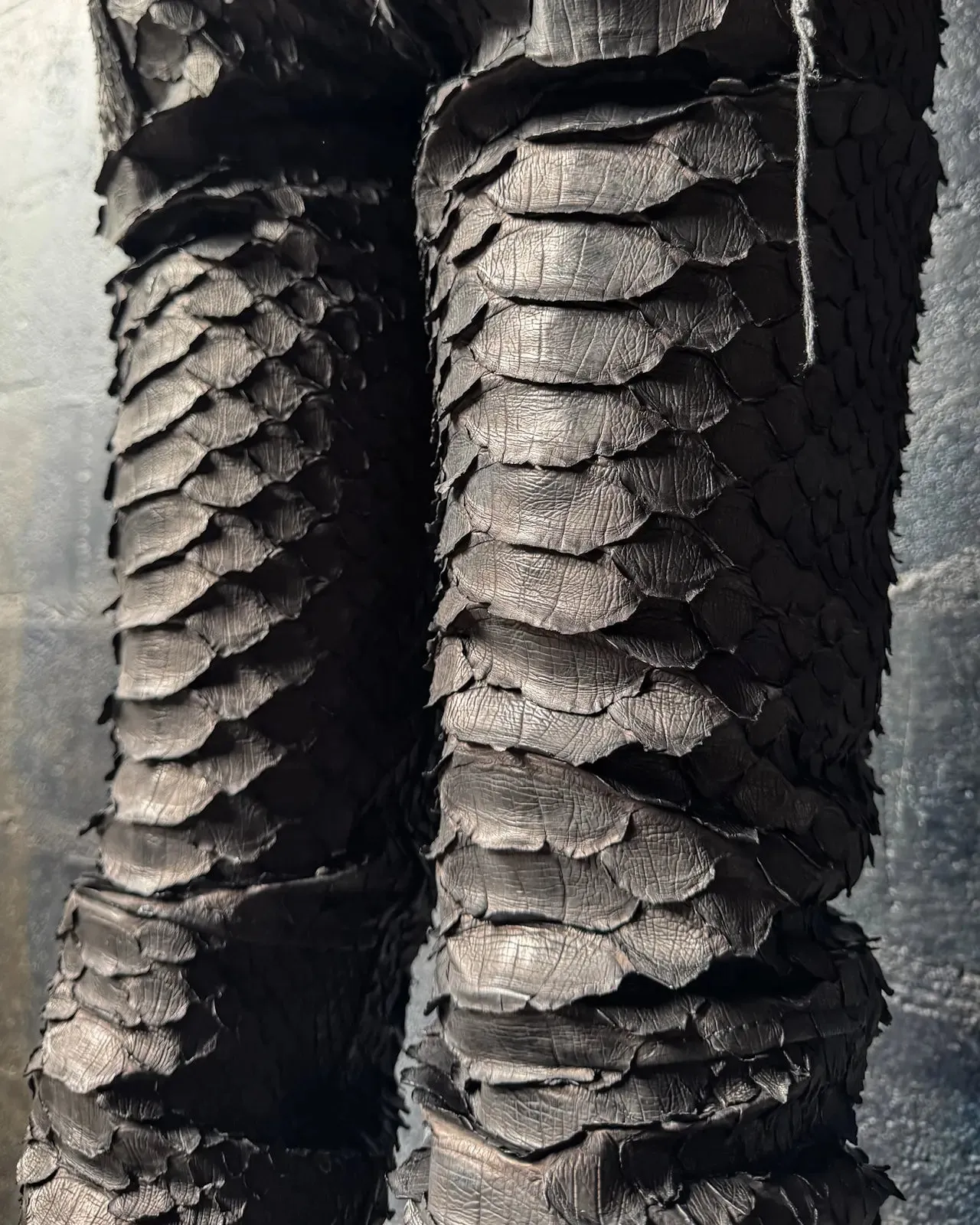 DRAGON PYTHON PANTS